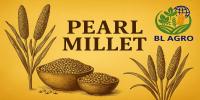Pearl Millet